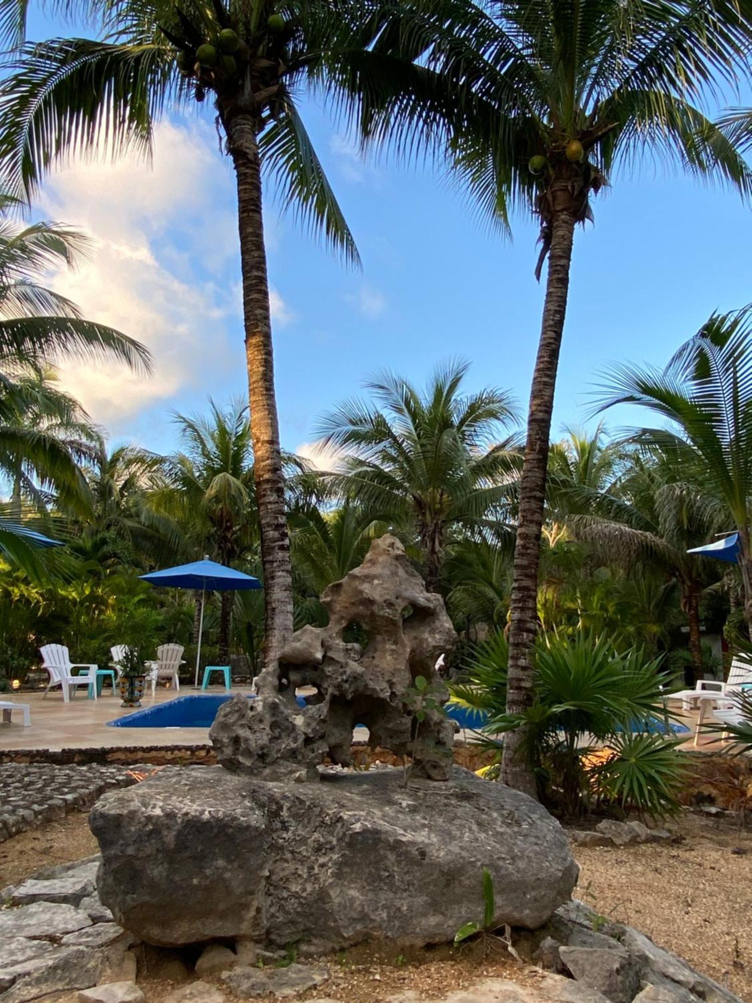 Villa Tortugas อากุมัล ภายนอก รูปภาพ
