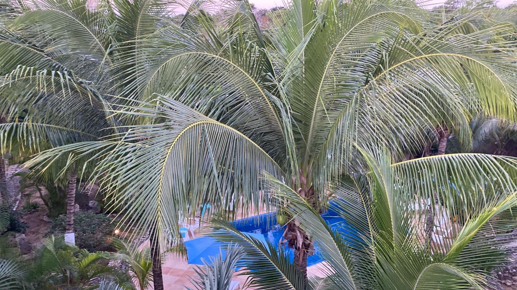 Villa Tortugas อากุมัล ภายนอก รูปภาพ