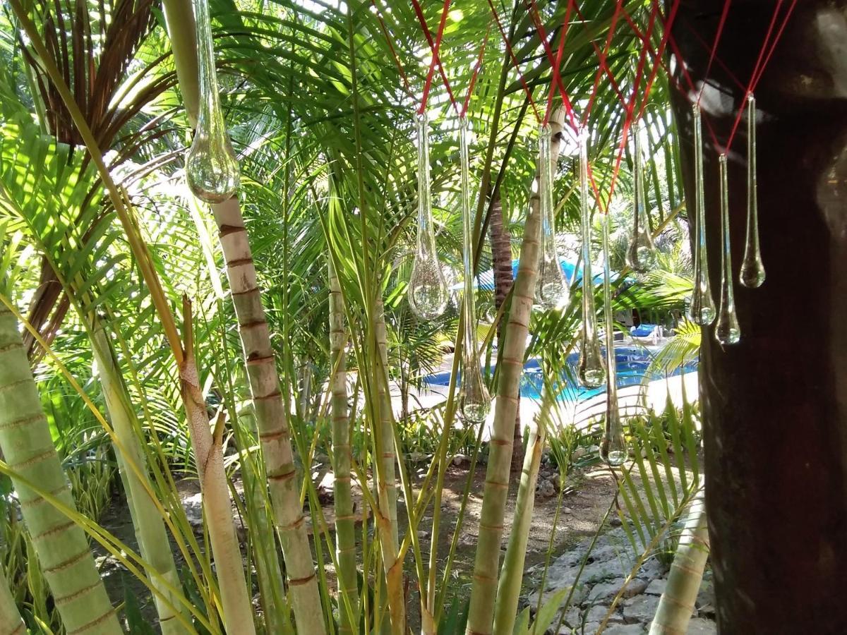 Villa Tortugas อากุมัล ภายนอก รูปภาพ