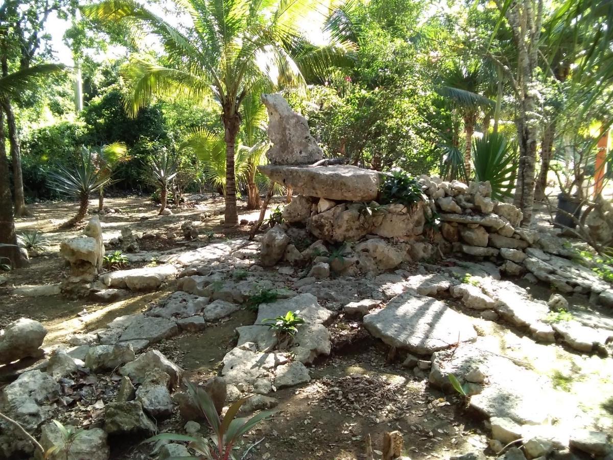 Villa Tortugas อากุมัล ภายนอก รูปภาพ