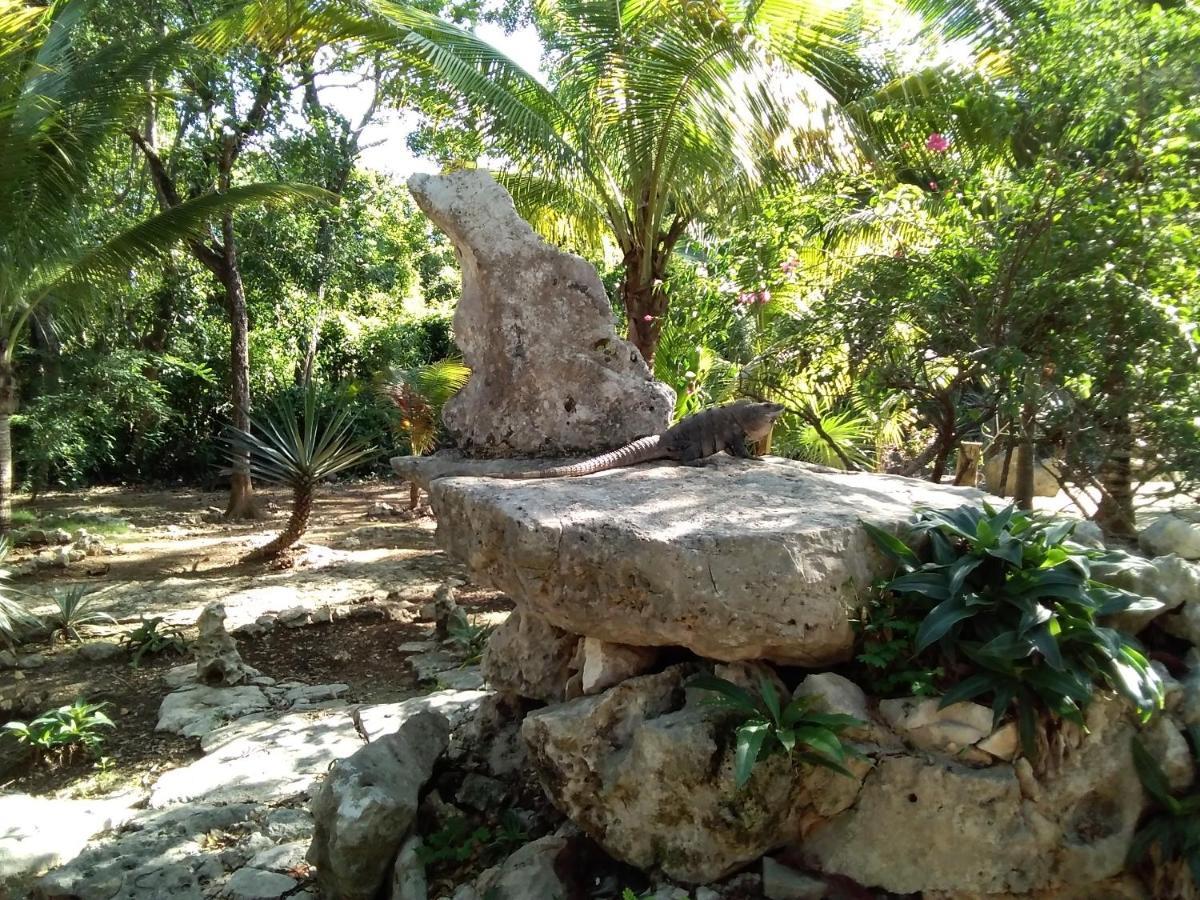 Villa Tortugas อากุมัล ภายนอก รูปภาพ
