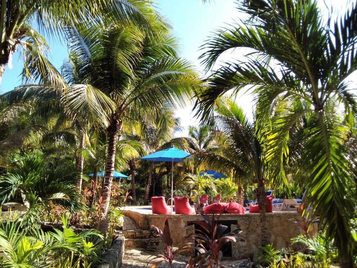 Villa Tortugas อากุมัล ภายนอก รูปภาพ